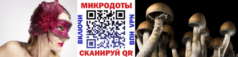 Псилоцибиновые грибы ЛСД  где можно купить наркотик  Салехард 