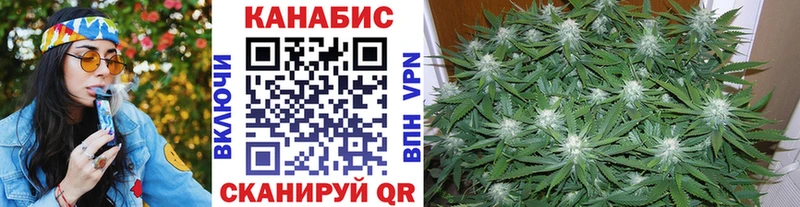 Марихуана семена  где купить наркоту  Салехард 