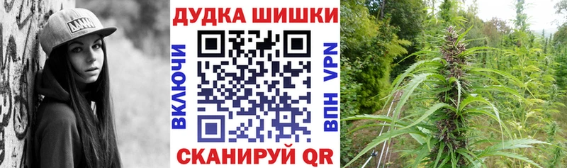 Марихуана гибрид Салехард